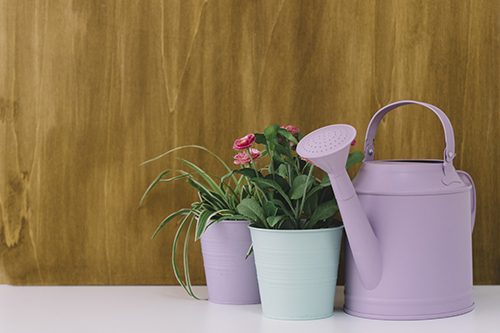 decorative-pots2