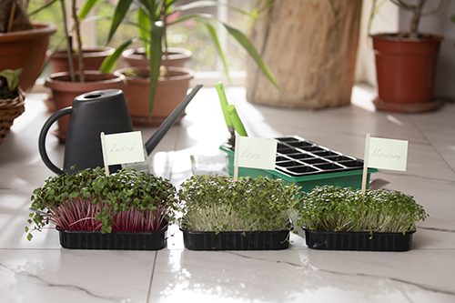 nursery-planters2